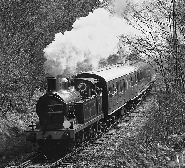 Photo of H class 0-4-4 tank loco 31263 at the Bluebell Railway in 1980-1981