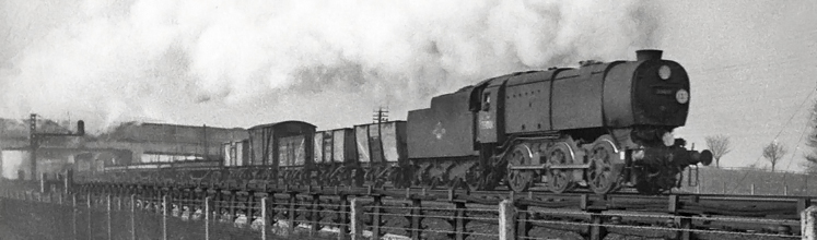 Photo of  Q1 Class 0-6-0 33001 on a goods train near Raynes Park in Spring 1962