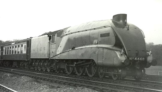 photo of 4468 Mallard